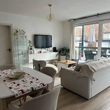 F2 Cosy Avec Terrasse A Deux Pas Du Centre De Mulhouse