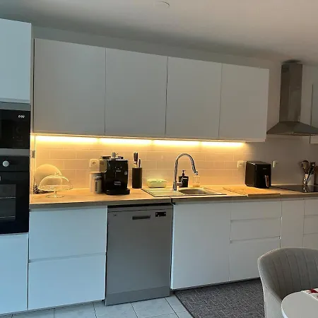 F2 Cosy Avec Terrasse A Deux Pas Du Centre De * Mulhouse