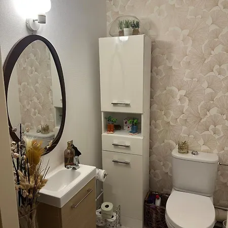 F2 Cosy Avec Terrasse à Deux Pas Du Centre De Appartamento Mulhouse