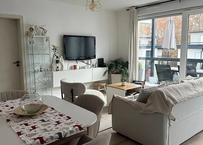 F2 Cosy Avec Terrasse A Deux Pas Du Centre De Mulhouse