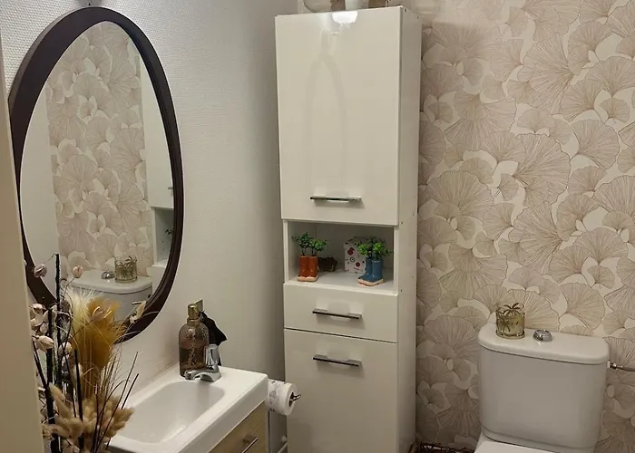 F2 Cosy Avec Terrasse A Deux Pas Du Centre De Apartment Mülhausen